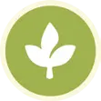 Forêt